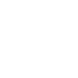 Customer_Centric Focus Customer_Centric Focus